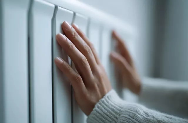 Ростов впервые за пять лет получил паспорт готовности к зиме - Privet-Rostov.ru -  Главные новости Ростова и Ростовской области, 15.11.2025