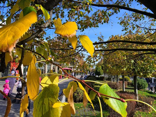Температура воздуха в Ростове побила рекорд 1947 года - Privet-Rostov.ru -  Главные новости Ростова и Ростовской области, 19.11.2025