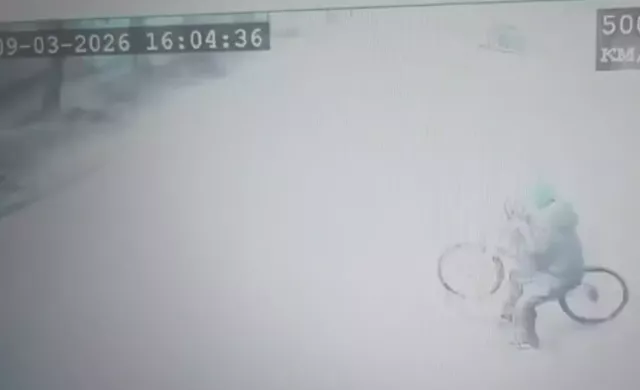 Автобус впечатался в дерево на Интернациональной в Ростове из-за велосипедиста - Privet-Rostov.ru -  Главные новости Ростова и Ростовской области, 10.03.2026