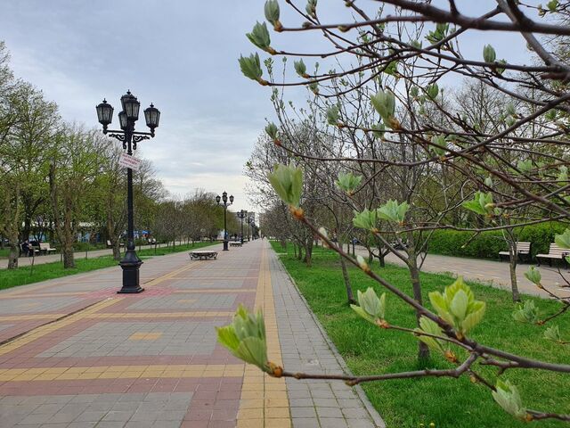 Синоптики пообещали +16 и ночные заморозки в донском регионе - Privet-Rostov.ru -  Главные новости Ростова и Ростовской области, 10.03.2026