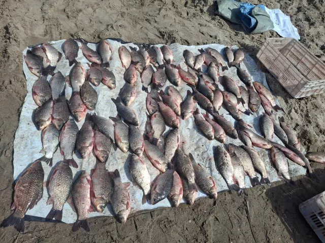 В Цимлянском районе браконьеры выловили 90 тысяч рублей ущерба - Privet-Rostov.ru -  Главные новости Ростова и Ростовской области, 01.04.2026