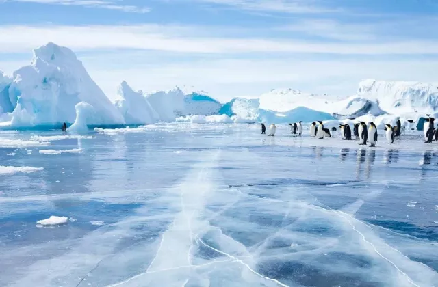 Учёные открыли новую ветвь жизни в глубинах Тихого океана - Privet-Rostov.ru -  Главные новости Ростова и Ростовской области, 02.04.2026