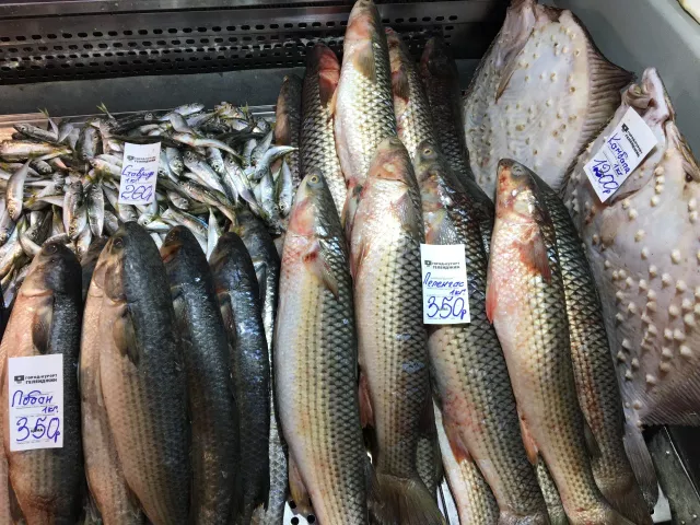 Цены на мясо и рыбу в Ростовской области продолжают расти весной - Privet-Rostov.ru -  Главные новости Ростова и Ростовской области, 12.04.2026