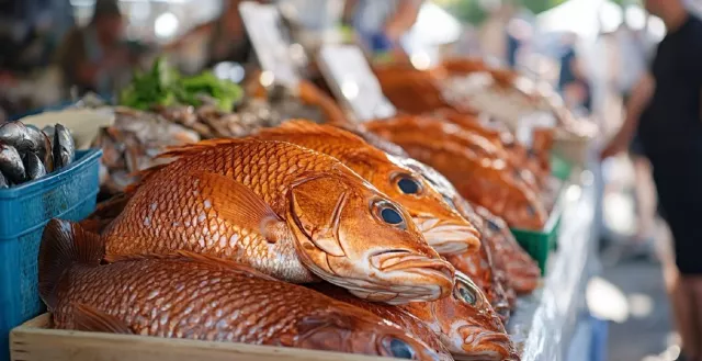 Ученые предупредили об опасном вирусе в сырых морепродуктах - Privet-Rostov.ru -  Главные новости Ростова и Ростовской области, 15.04.2026