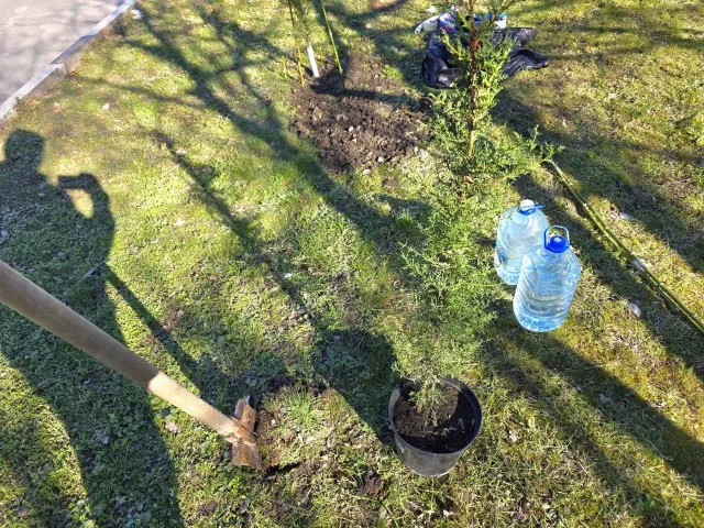 Озеленение Ростова оценили почти в 244 млн рублей по новому тендеру - Privet-Rostov.ru -  Главные новости Ростова и Ростовской области, 15.04.2026