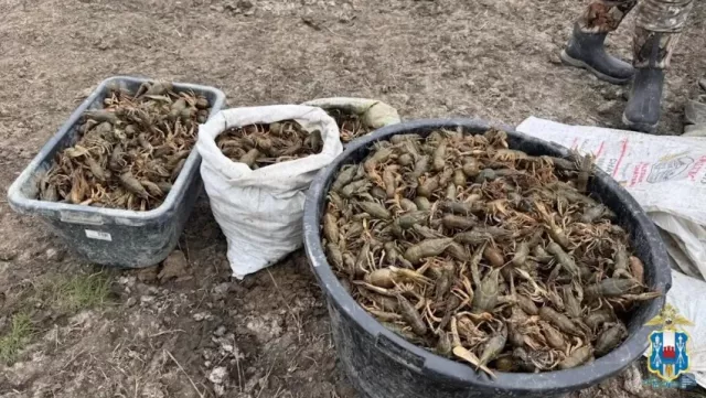 Браконьеры в Ростовской области выловили 80 килограммов раков - Privet-Rostov.ru -  Главные новости Ростова и Ростовской области, 20.04.2026