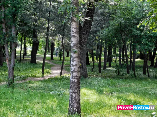 Въезды в леса Ростовской области закрыли на 21 день - Privet-Rostov.ru -  Главные новости Ростова и Ростовской области, 02.05.2026