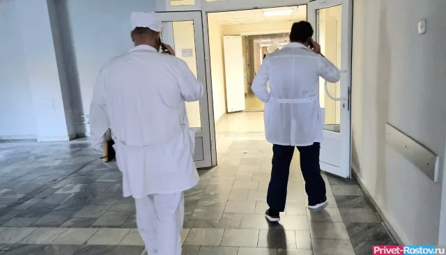 В России выявлены хантавирусы — специалисты оценили риски - Privet-Rostov.ru -  Главные новости Ростова и Ростовской области, 15.05.2026