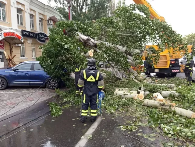 В Ростове упало 37 деревьев из-за ливня и града, спасатели разгребают завалы - Privet-Rostov.ru -  Главные новости Ростова и Ростовской области, 26.06.2026