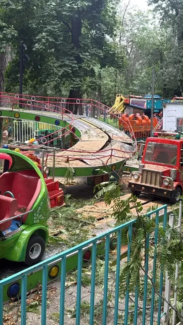 Из-за урагана в Ростове пострадали и парковые территории - Privet-Rostov.ru -  Главные новости Ростова и Ростовской области, 26.07.2026
