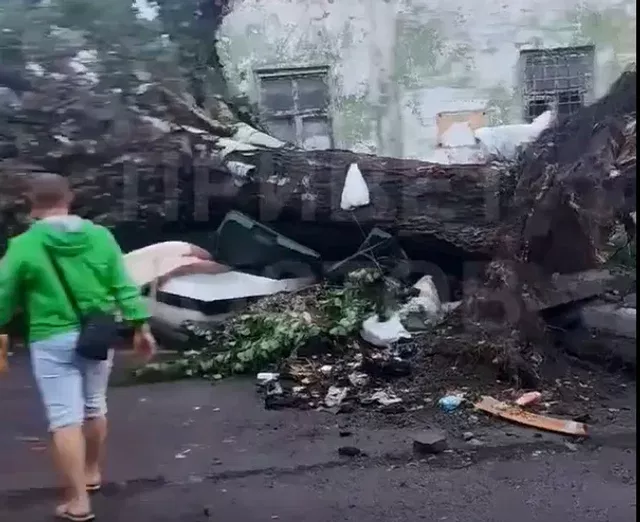 В Ростове после шторма века пострадало 13 человек, 7 госпитализировано, один погиб - Privet-Rostov.ru -  Главные новости Ростова и Ростовской области, 26.07.2026