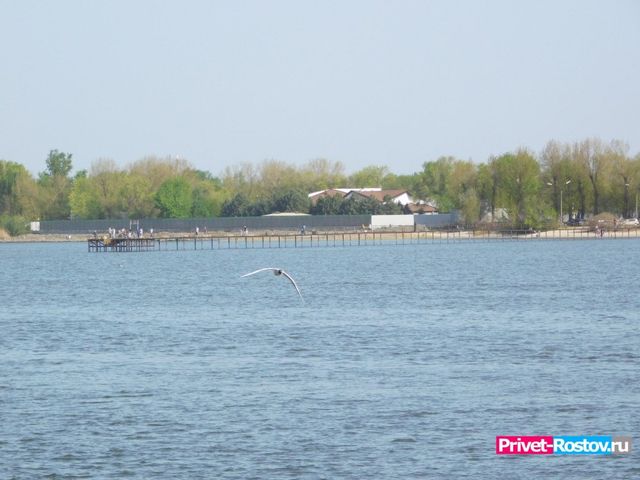 Вода Дона на участке под Ростовом получила статус «грязной» по итогам 2025 года - Privet-Rostov.ru -  Главные новости Ростова и Ростовской области, 12.08.2026