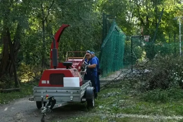 Ростов ещё не оправился от урагана, коммунальщикам поручили ускорить уборку - Privet-Rostov.ru -  Главные новости Ростова и Ростовской области, 14.08.2026