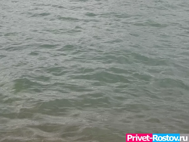 В водоёмах Ростова нашли восемь токсигенных штаммов холерного вибриона - Privet-Rostov.ru -  Главные новости Ростова и Ростовской области, 15.09.2026