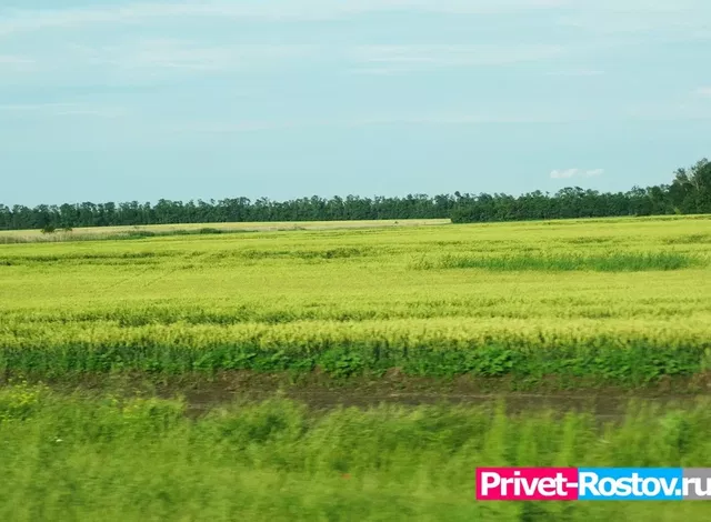 Для аэропорта «Южный» в Ростовской области изымут земельный участок - Privet-Rostov.ru -  Главные новости Ростова и Ростовской области, 16.09.2026