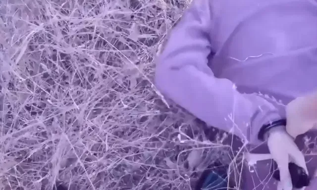 При попытке скрыться с кустом конопли на ростовчанина завели уголовное дело - Privet-Rostov.ru -  Главные новости Ростова и Ростовской области, 21.09.2026
