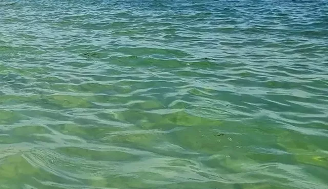 Воду отключат на одни сутки в части Ростова из-за ремонта - Privet-Rostov.ru -  Главные новости Ростова и Ростовской области, 22.09.2026