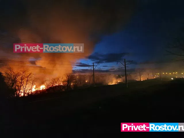Лес загорелся в Ростовской области после атаки БПЛА - Privet-Rostov.ru -  Главные новости Ростова и Ростовской области, 02.10.2026