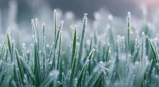 Заморозки ударят по Ростовской области в конце октября - Privet-Rostov.ru -  Главные новости Ростова и Ростовской области, 23.10.2026