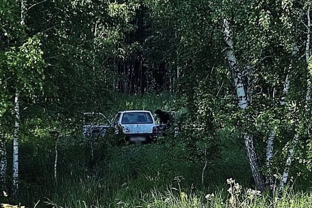 Четверо парней угнали Оку и бросили её в лесу под Челябинском - Челябинск Сегодня, 05.07.2025
