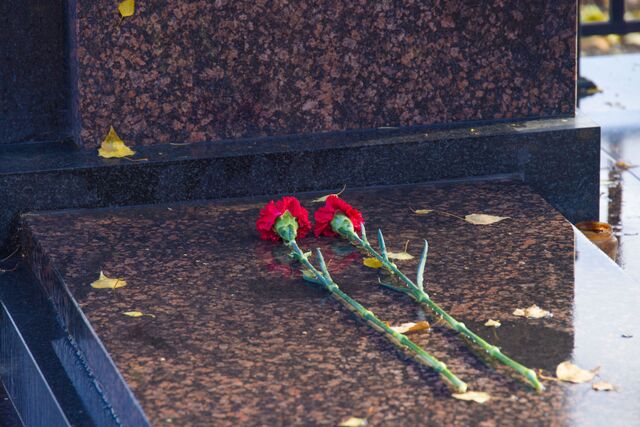 Юный водитель погиб в ДТП при обгоне на трассе в Челябинской области - Челябинск Сегодня, 18.07.2025