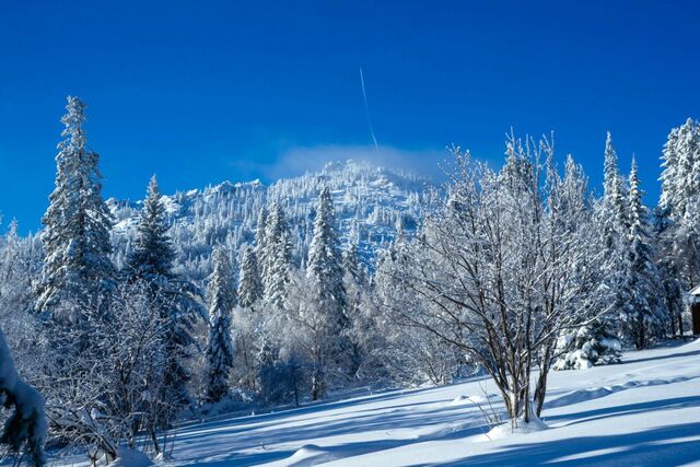 Быстро и безопасно: на Таганае открыли новую дорогу до Черной скалы - Челябинск Сегодня, 02.11.2025