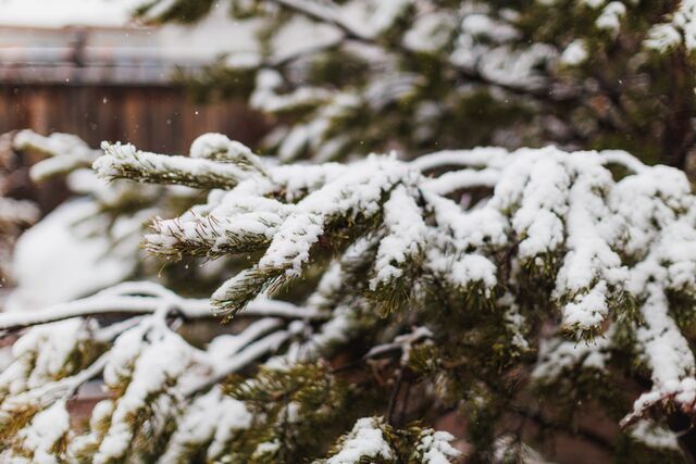 Утром 2 ноября Челябинск накрыло первым снегопадом - Челябинск Сегодня, 02.11.2025