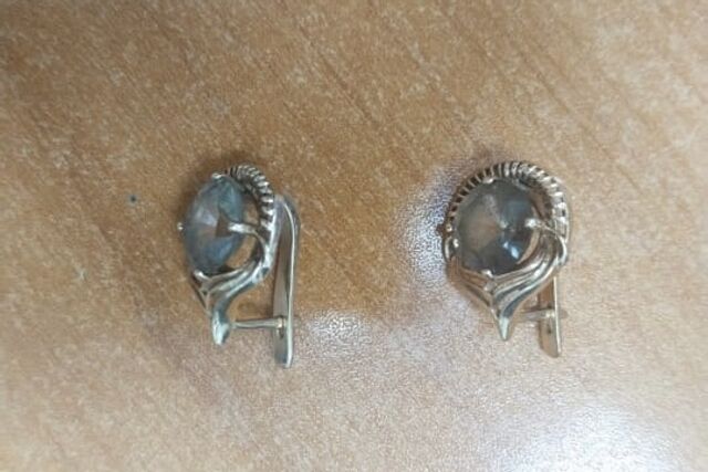 В Магнитогорске полицейские нашли и вернули хозяйке украденные серьги - Челябинск Сегодня, 15.11.2025