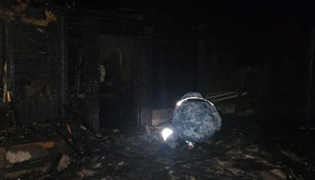 Челябинку заключили под стражу за сожжение женщины вместе с домом - Челябинск Сегодня, 19.11.2025