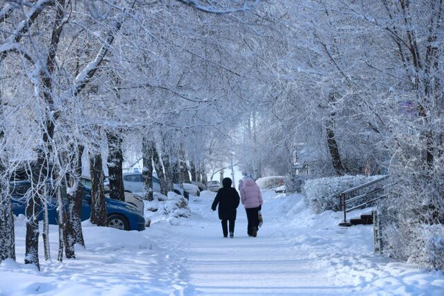В Челябинской области ночью 23 февраля похолодает до –30 градусов - Челябинск Сегодня, 22.02.2026