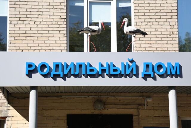 Врач из Челябинской области призвала проверять здоровье до беременности - Челябинск Сегодня, 21.03.2026