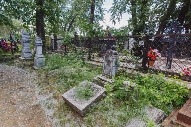 Челябинское кладбище незаконно рубило лес и хоронило людей в лесфонде - Челябинск Сегодня, 04.04.2026