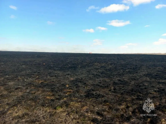 Крестовый поход против жуков: пастух под Троицком выжег два гектара травы - Челябинск Сегодня, 17.04.2026