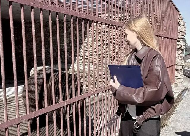 В Челябинской области к спасенному медведю Степану пришли сотрудники прокуратуры - Челябинск Сегодня, 18.04.2026