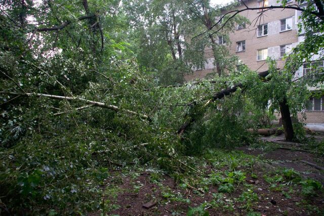Грозы с ливнями и сильный шторм обрушатся на Челябинскую область - Челябинск Сегодня, 09.05.2026