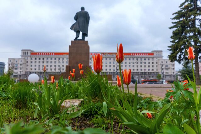 Рядом с Лениным в Челябинске этим летом зацветут колеусы и сальвии - Челябинск Сегодня, 15.05.2026