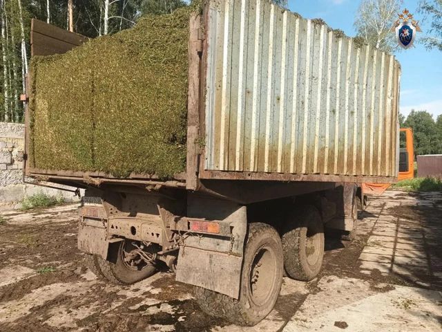 Дело о раздавленном грузовиком с сеном южноуральце направили в суд - Челябинск Сегодня, 26.06.2026
