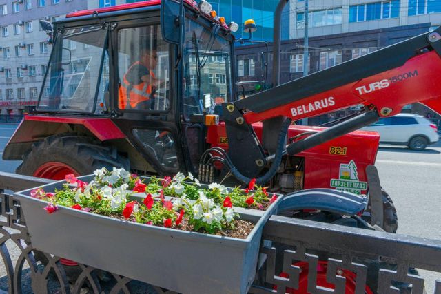 Перевернувший кашпо челябинец раскаялся и обещал возместить ущерб - Челябинск Сегодня, 26.07.2026