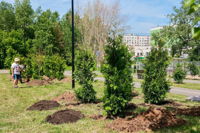 Сосны, липы и туи: 3000 новых растений появятся на улицах Нижнего Новгорода Сосны, липы и туи: 3000 новых растений появятся на улицах Нижнего Новгорода - Про Город Нижний Новгород | Новости области, 11.06.2025