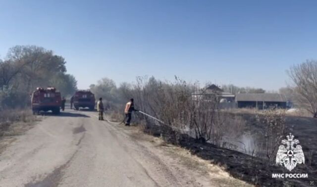 В воронежском селе Тресокурово пожар ликвидировали на площади в 15 гектаров - Новости Воронежа, 01.10.2024