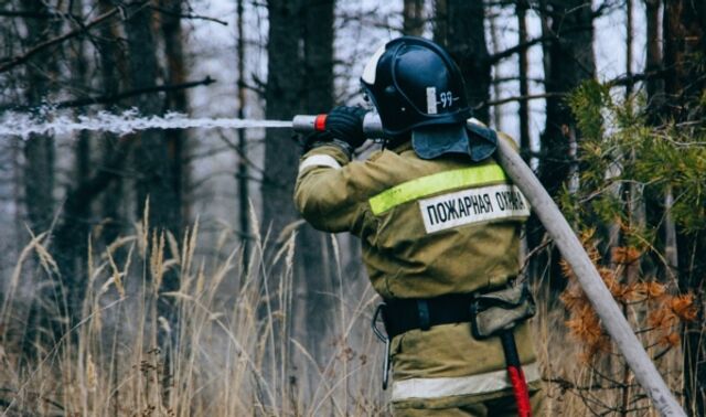 В Воронежской области за сутки вспыхнули десятки ландшафтных пожаров - Новости Воронежа, 15.03.2025