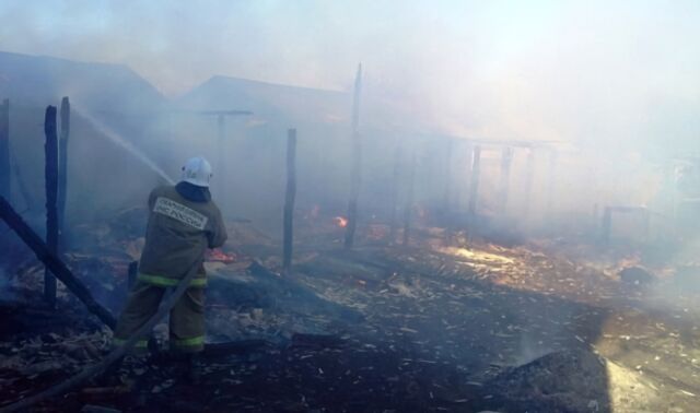 В Воронеже за полчаса сгорели три хозпостройки на улице Торпедо - Новости Воронежа, 20.04.2025