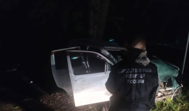 В Воронежской области возбудили уголовное дело после гибели ребёнка в ДТП - Новости Воронежа, 13.05.2025