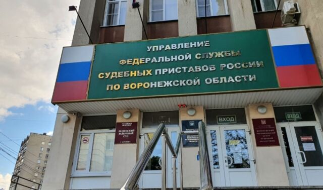 Список неплательщиков алиментов станет доступен онлайн с 25 мая - Новости Воронежа, 23.05.2025