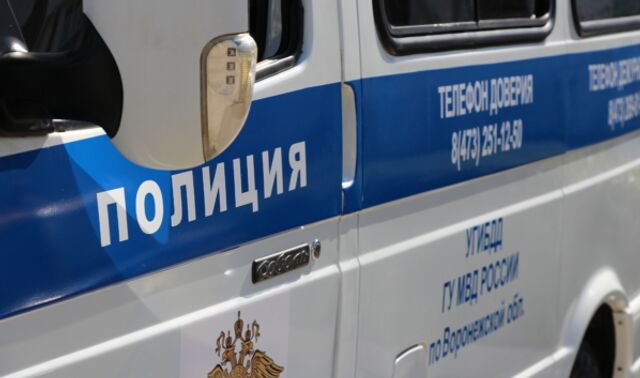 Воронежцы задержали мужчину, подозреваемого в рассылке детям непристойных видео - Новости Воронежа, 31.05.2025