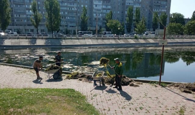 В Воронеже водоем в сквере «У озера» очистили от тины перед праздниками - Новости Воронежа, 13.06.2025
