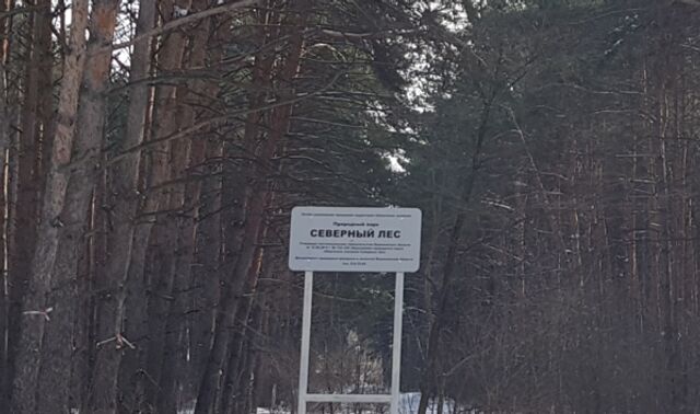 В Воронеже в Северном лесу третий день течёт зловонный поток из канализации - Новости Воронежа, 13.06.2025