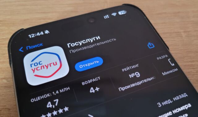 Социальные вклады и счета стали доступны на Госуслугах - Новости Воронежа, 01.07.2025