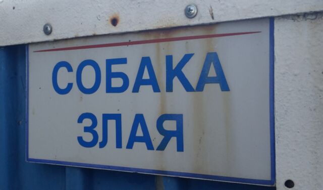 Стая агрессивных собак терроризирует двор на улице Саврасова в Воронеже - Новости Воронежа, 09.07.2025