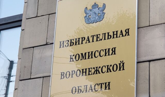 Число избирателей в Воронежской области превысило 1,7 миллиона человек - Новости Воронежа, 17.07.2025